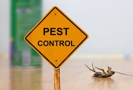 Pest Control Service Provider New Westminster: Effective Solutions for a Pest-Free Environment